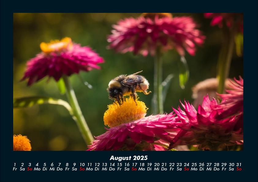 Bild: 9783755989172 | Blumenkalender 2025 Fotokalender DIN A4 | Tobias Becker | Kalender