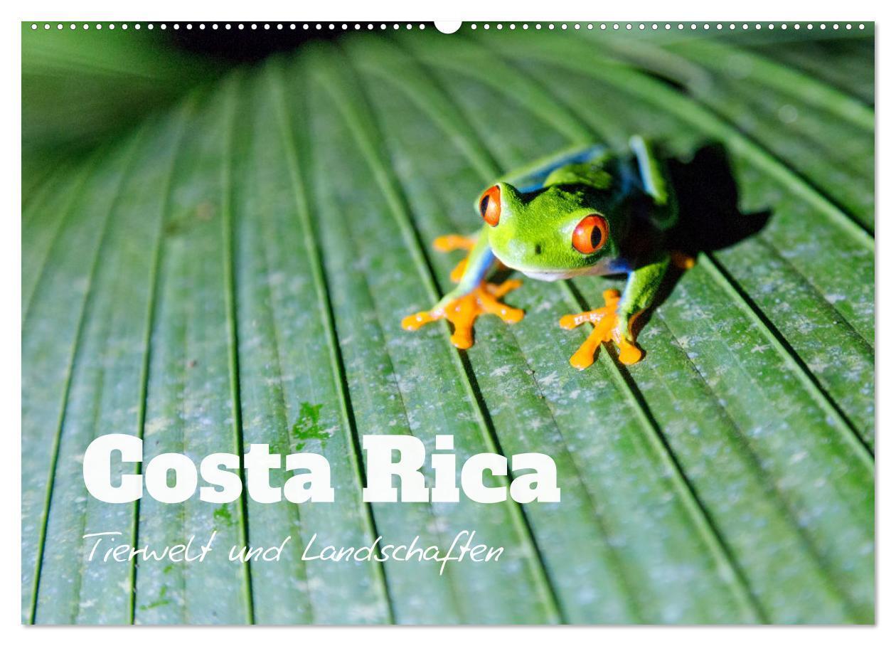 Cover: 9783675647848 | Costa Rica - Tierwelt und Landschaften (Wandkalender 2024 DIN A2...