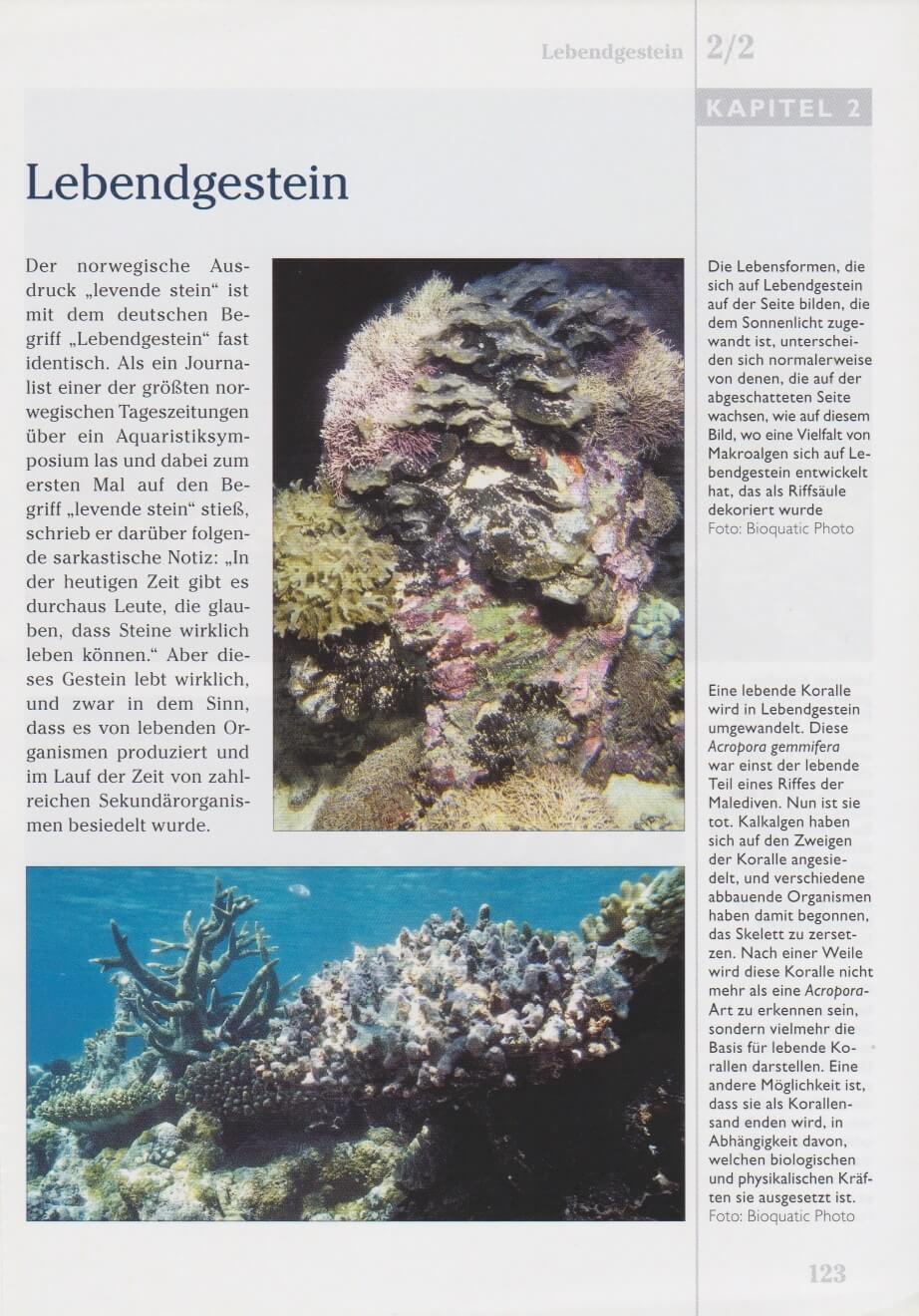 Bild: 9783866590731 | Das Korallenriff-Aquarium - Band 2 | Svein A. Fossa (u. a.) | Buch
