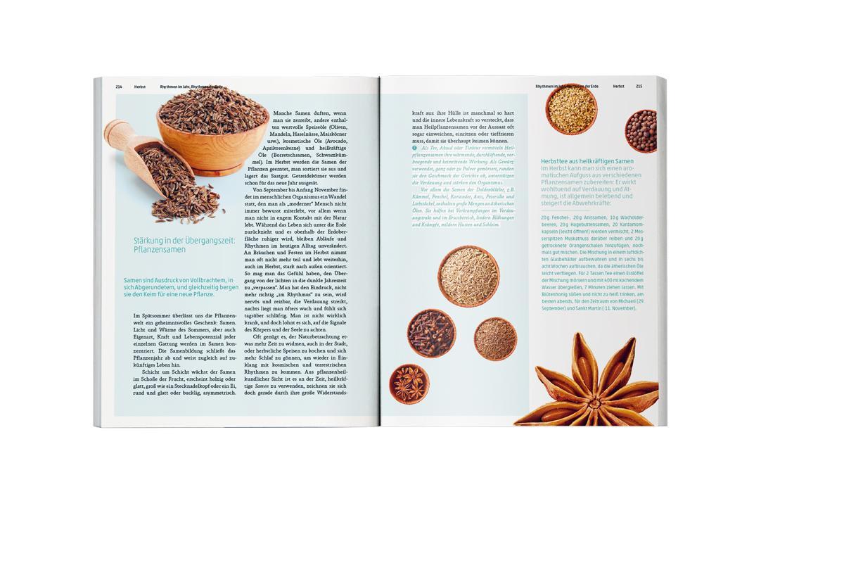 Bild: 9783723515211 | Ars Herbaria | Heilpflanzen im Jahreslauf | Karin Mecozzi | Buch