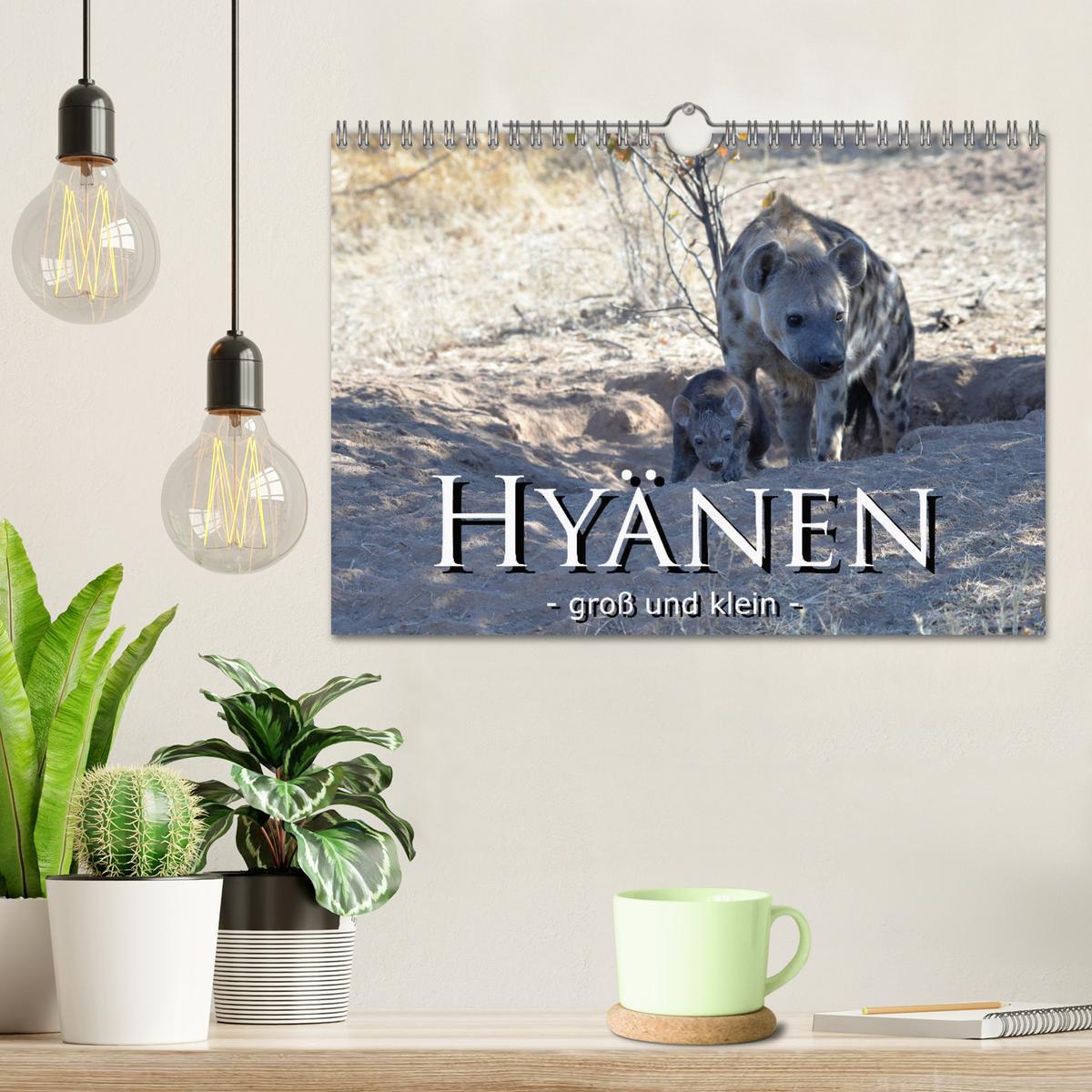 Bild: 9783435365500 | Hyänen - groß und klein (Wandkalender 2025 DIN A4 quer), CALVENDO...