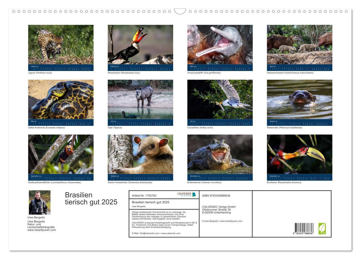 Bild: 9783435686636 | Brasilien tierisch gut 2025 (Wandkalender 2025 DIN A2 quer),...