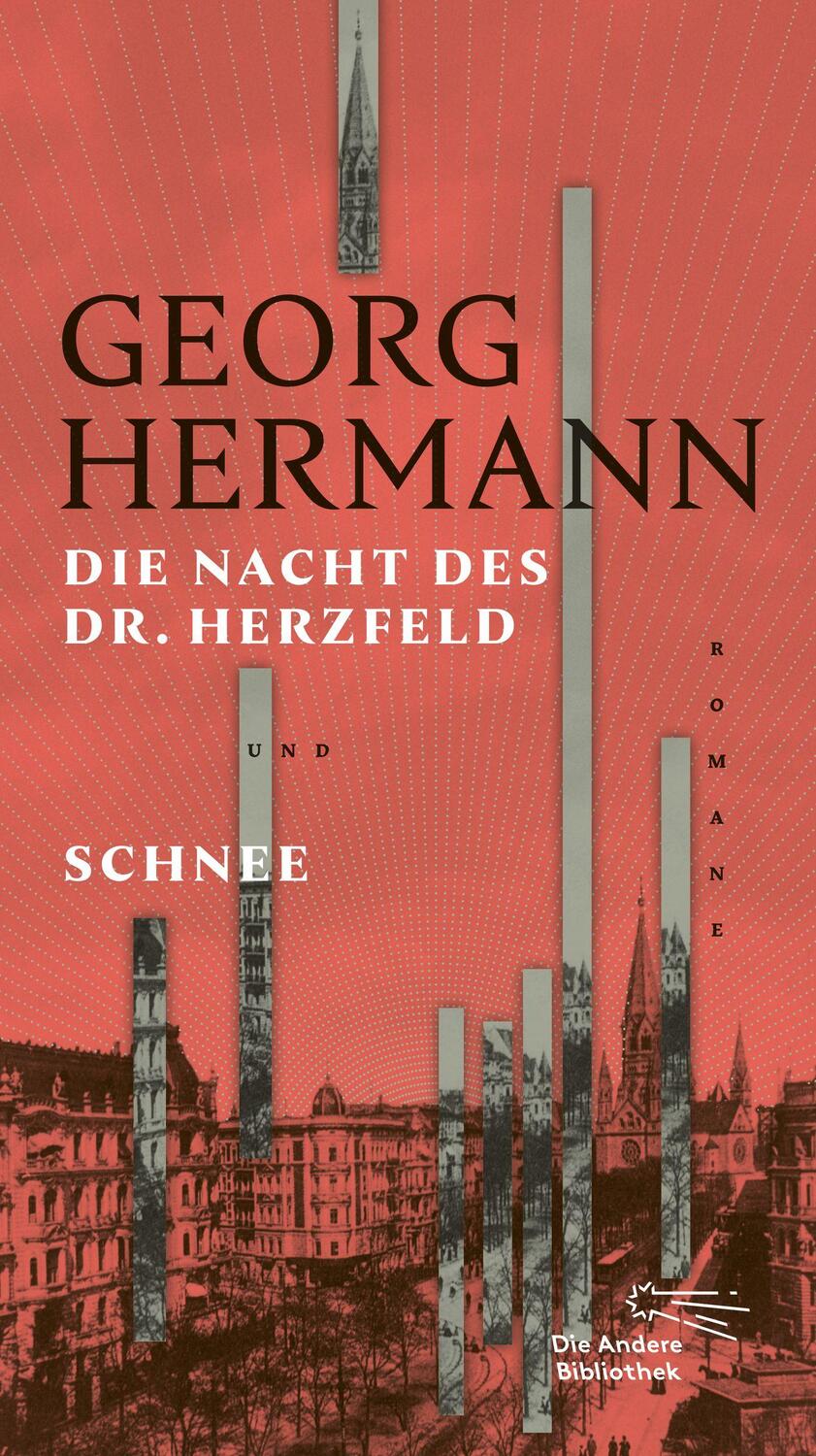 Cover: 9783847704423 | Die Nacht des Dr. Herzfeld &amp; Schnee | Romane | Georg Hermann | Buch