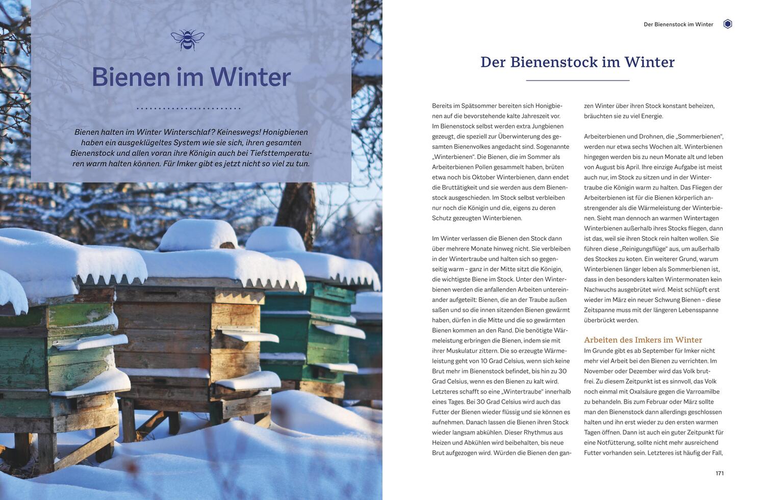 Bild: 9783835415447 | Bienengemäß imkern | Das Praxis-Handbuch | Günter Friedmann (u. a.)