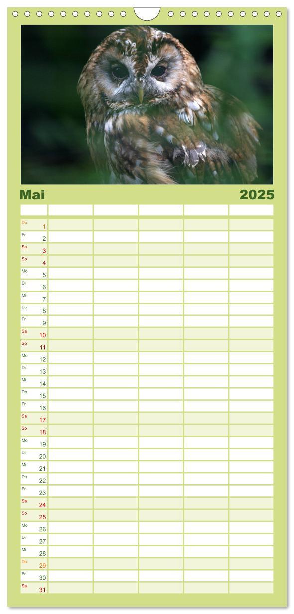 Bild: 9783457119211 | Familienplaner 2025 - Eulen mit 5 Spalten (Wandkalender, 21 x 45...