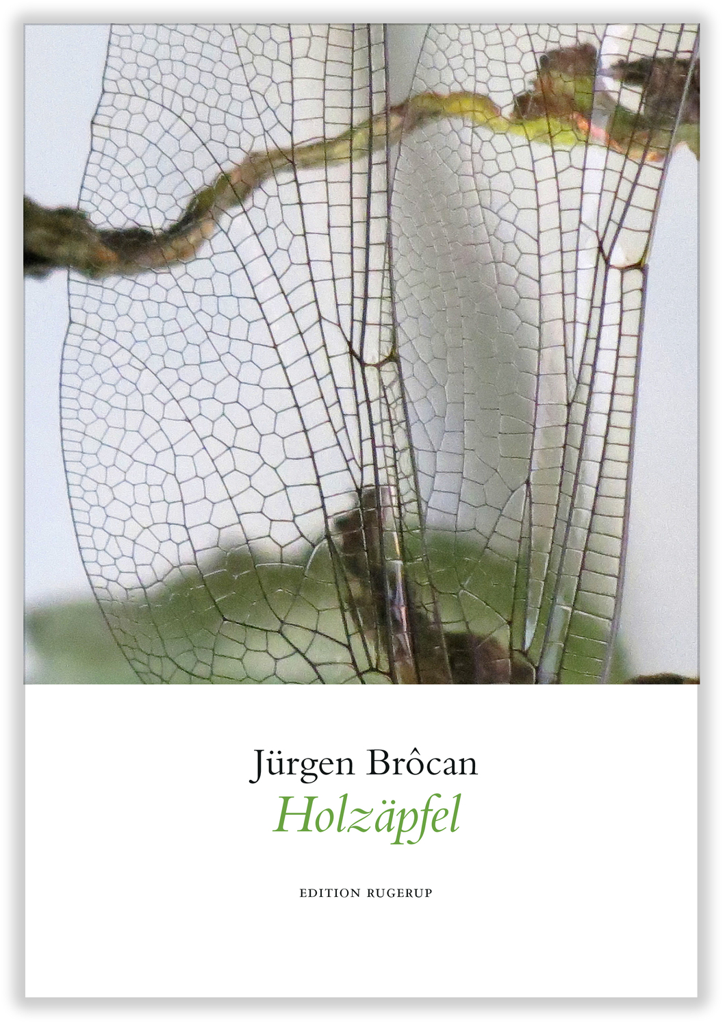 Cover: 9783942955478 | Holzäpfel | Gedichte | Jürgen Brôcan | Buch | 159 S. | Deutsch | 2015