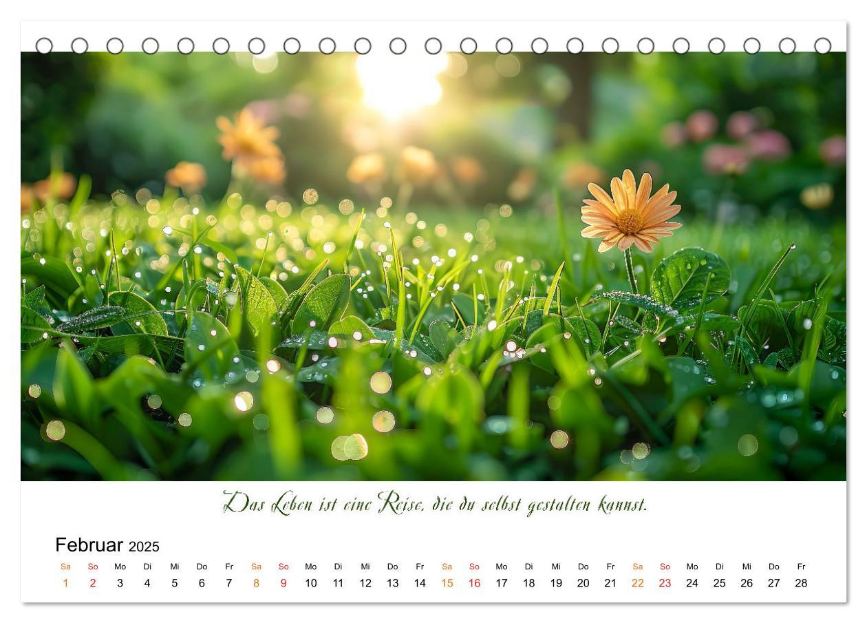 Bild: 9783383814624 | Freu Dich Motivations-Kalender (Tischkalender 2025 DIN A5 quer),...