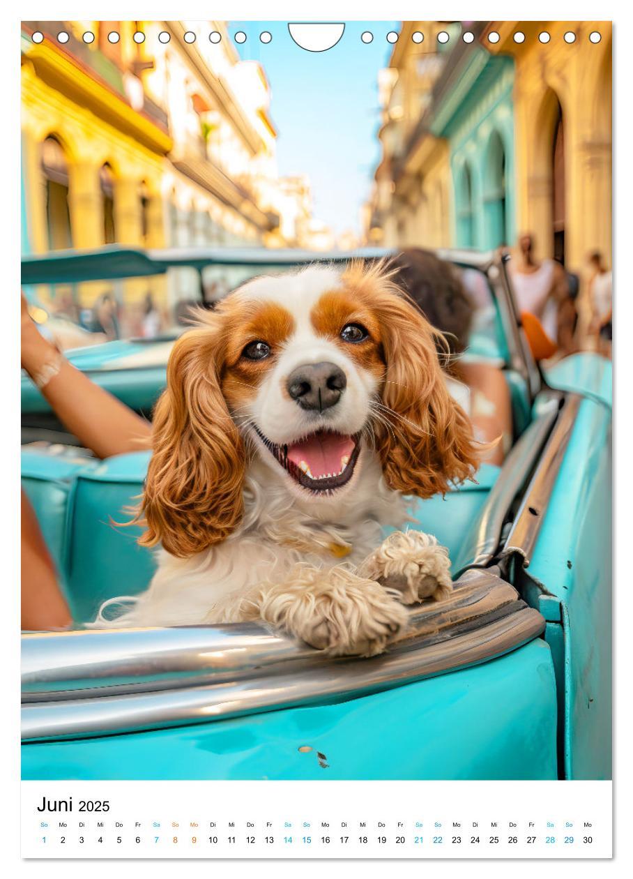 Bild: 9783383763441 | Cavalier King Charles Spaniel - Lustige Weltenreise im Selfie-Modus...