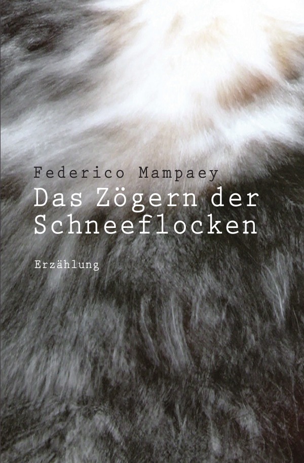 Cover: 9783756552467 | Das Zögern der Schneeflocken | Federico Mampaey | Taschenbuch | 116 S.