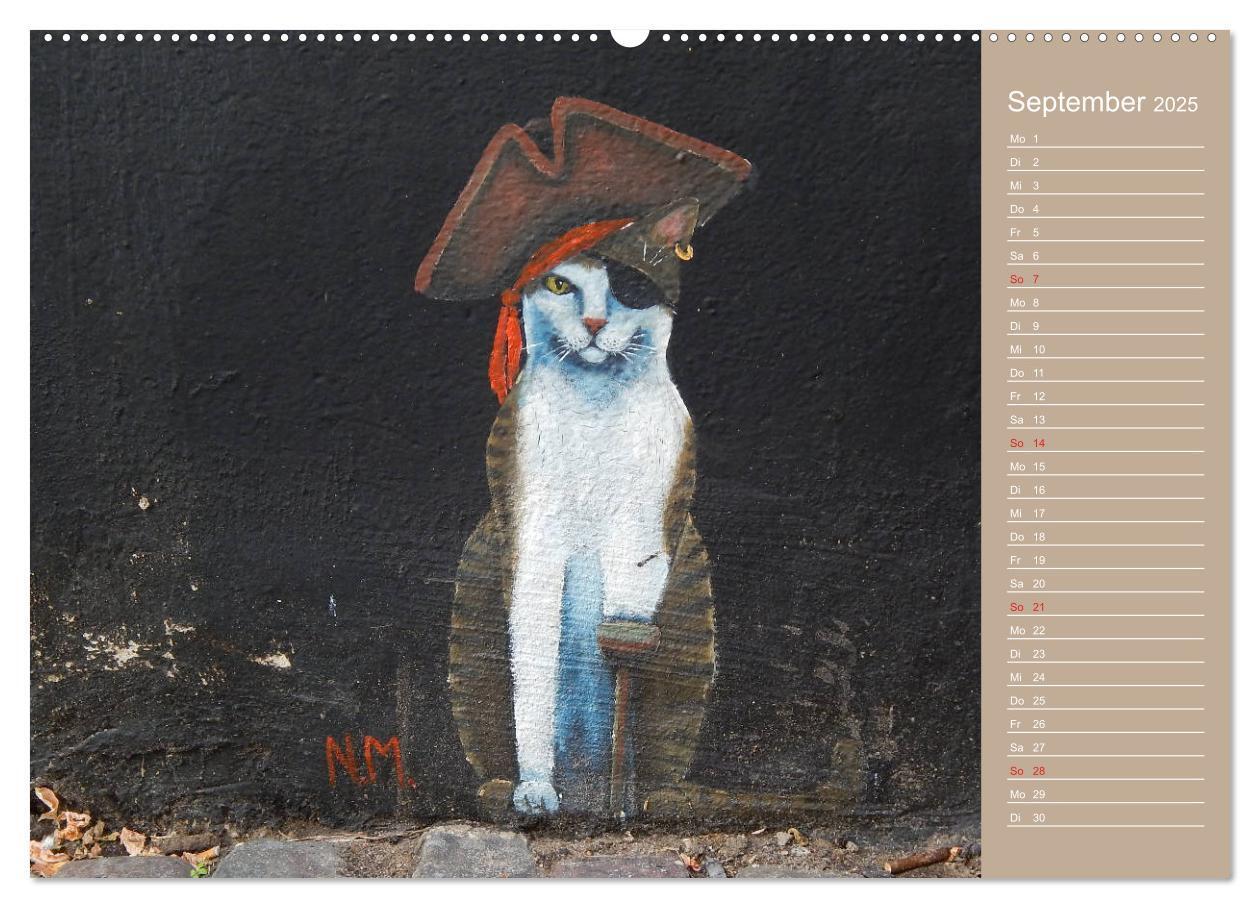 Bild: 9783435289691 | Flensburger Katzen (Wandkalender 2025 DIN A2 quer), CALVENDO...