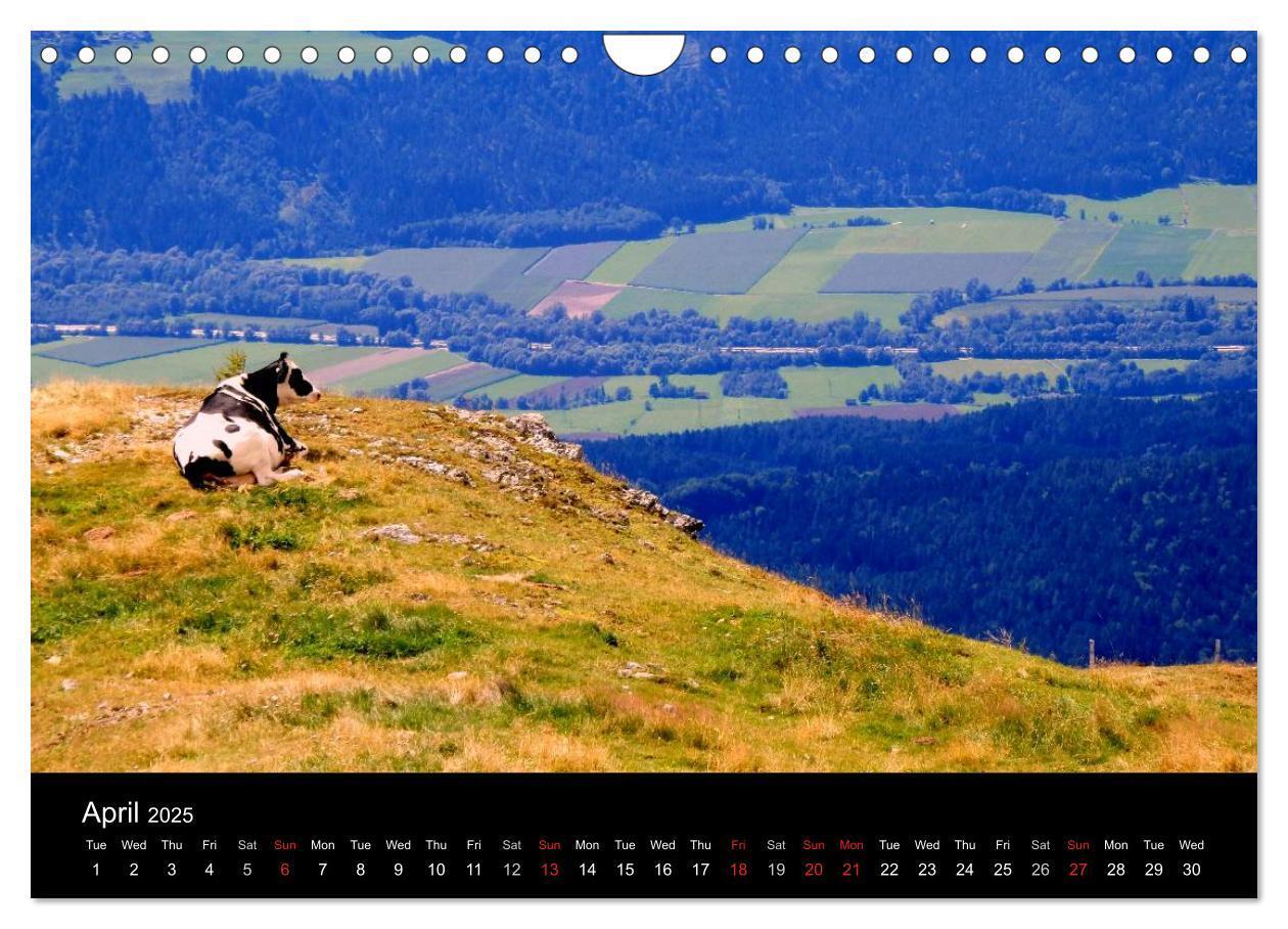 Bild: 9781325958269 | Austrian Summer (Wall Calendar 2025 DIN A4 landscape), CALVENDO 12...