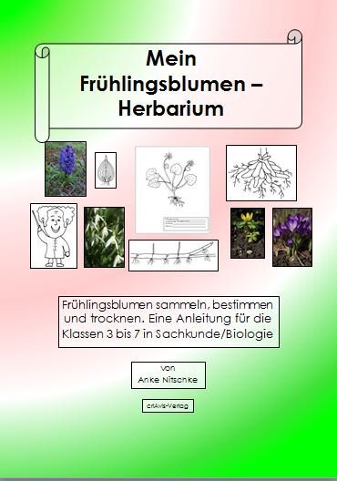 Cover: 9783944341477 | Mein Frühlingsblumen-Herbarium | Anke Nitschke | Taschenbuch | 2018