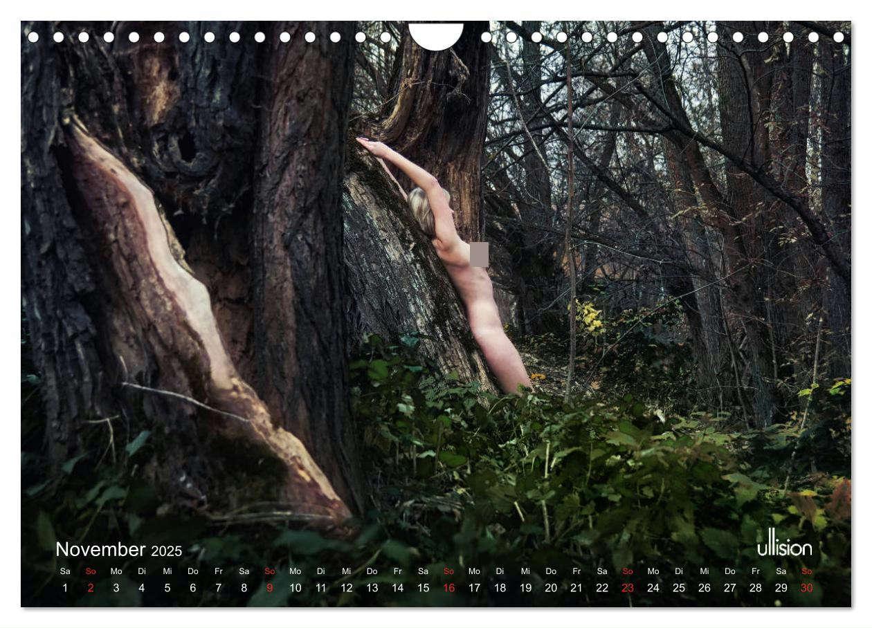 Bild: 9783435337989 | Lieblingsbäume - eins mit der Natur (Wandkalender 2025 DIN A4...