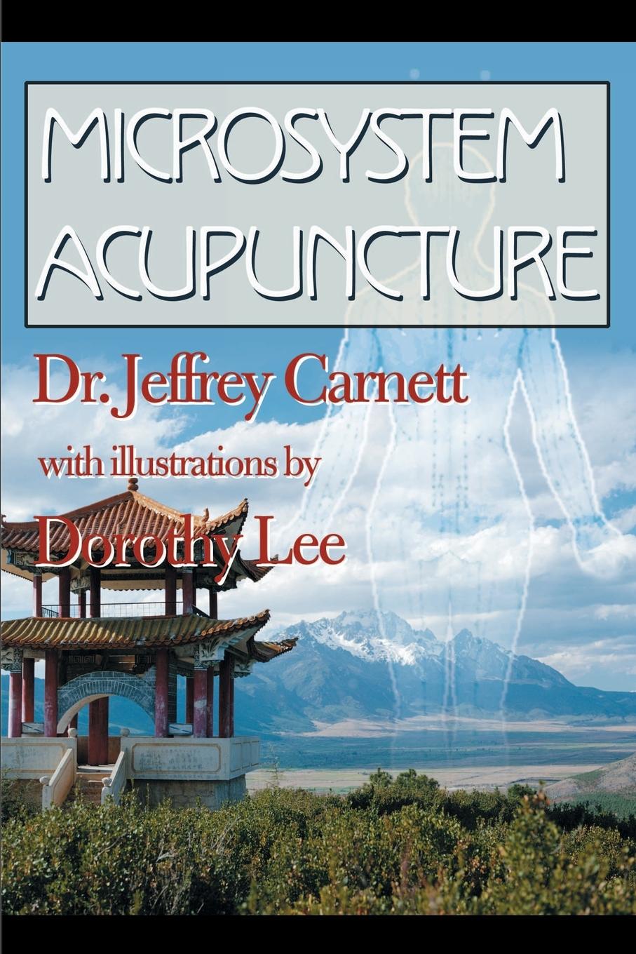 Cover: 9780595143801 | Microsystem Acupuncture | Jeffrey Carnett | Taschenbuch | Englisch