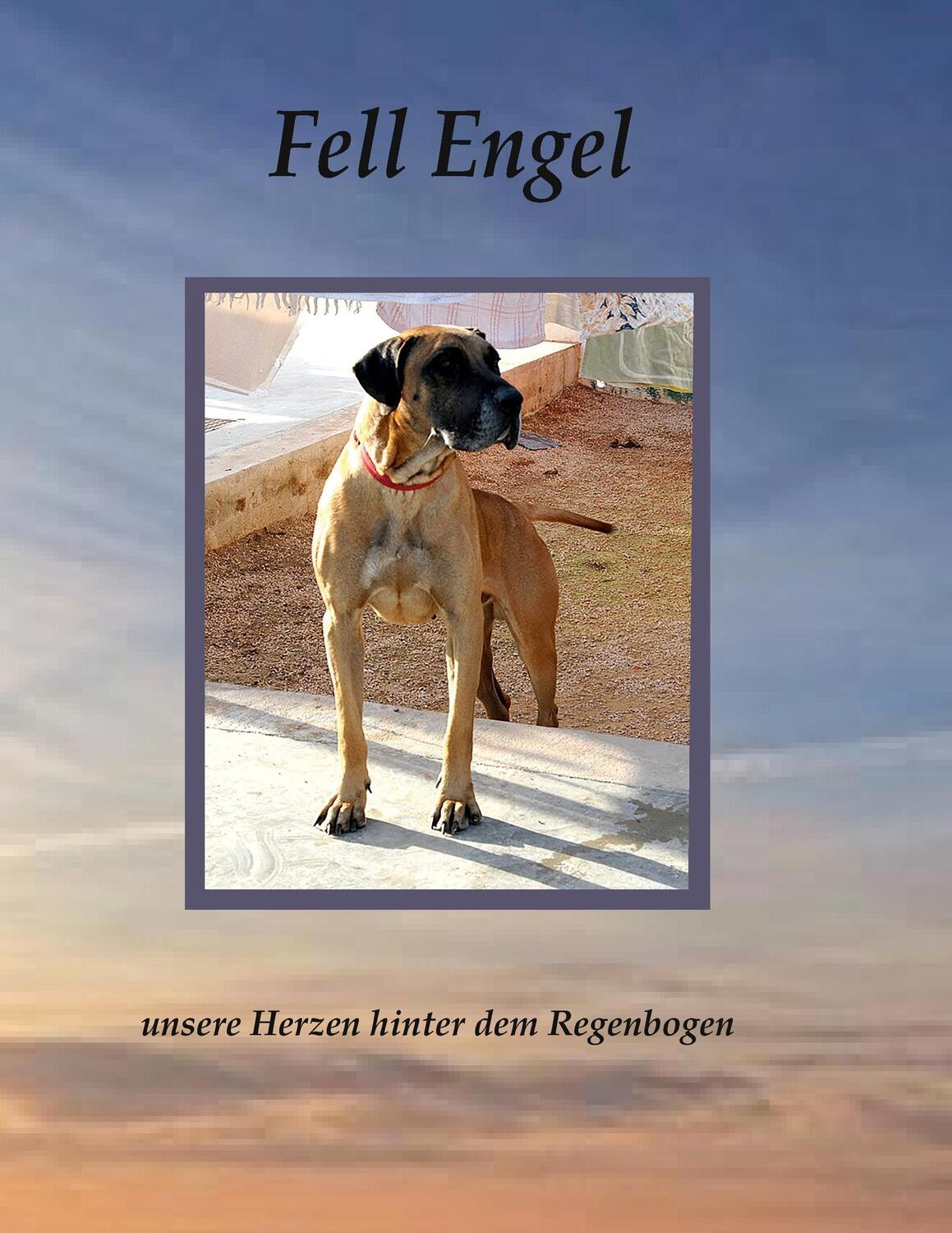 Cover: 9783738649215 | Fell Engel | Unsere Herzen hinter dem Regenbogen | Daniela Seegardel