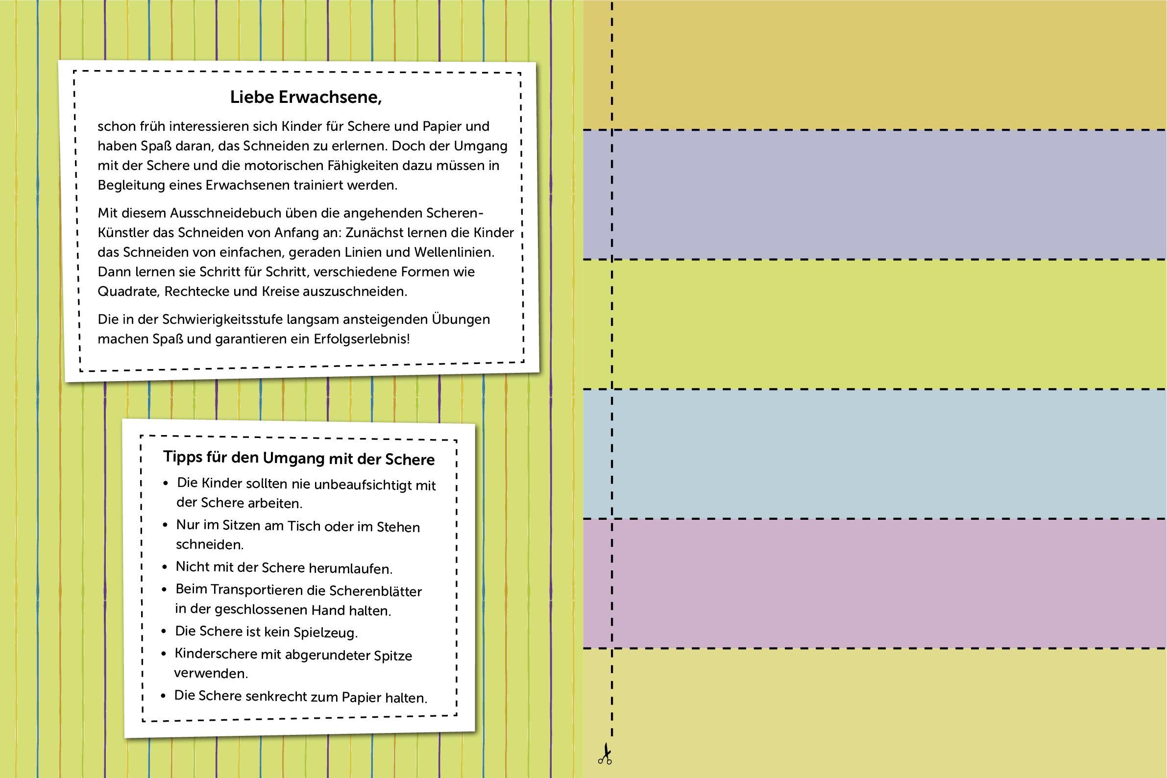 Bild: 9783987641435 | Bobo Siebenschläfer Mein erstes Ausschneidebuch | Pen2nature | Buch