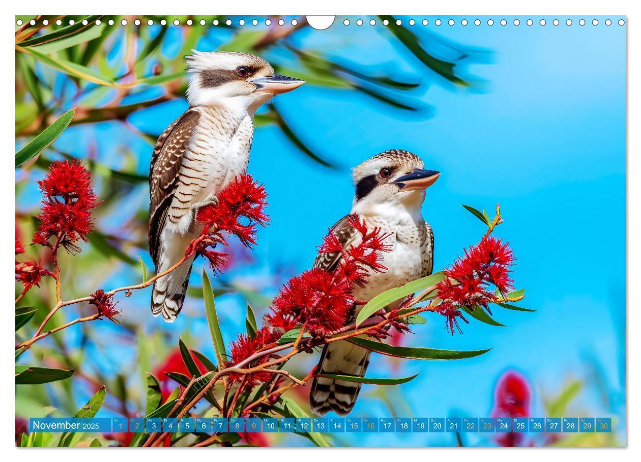 Bild: 9783383777899 | Der Kookaburra - Im australischen Busch mit dem lachenden Hans...