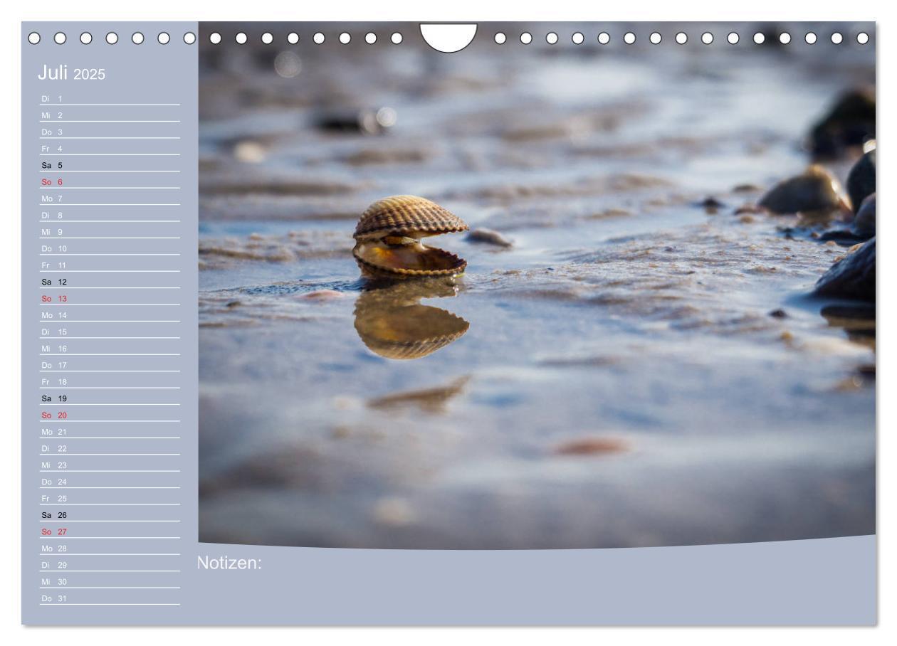 Bild: 9783435419746 | Hooksiel im Friesland (Wandkalender 2025 DIN A4 quer), CALVENDO...