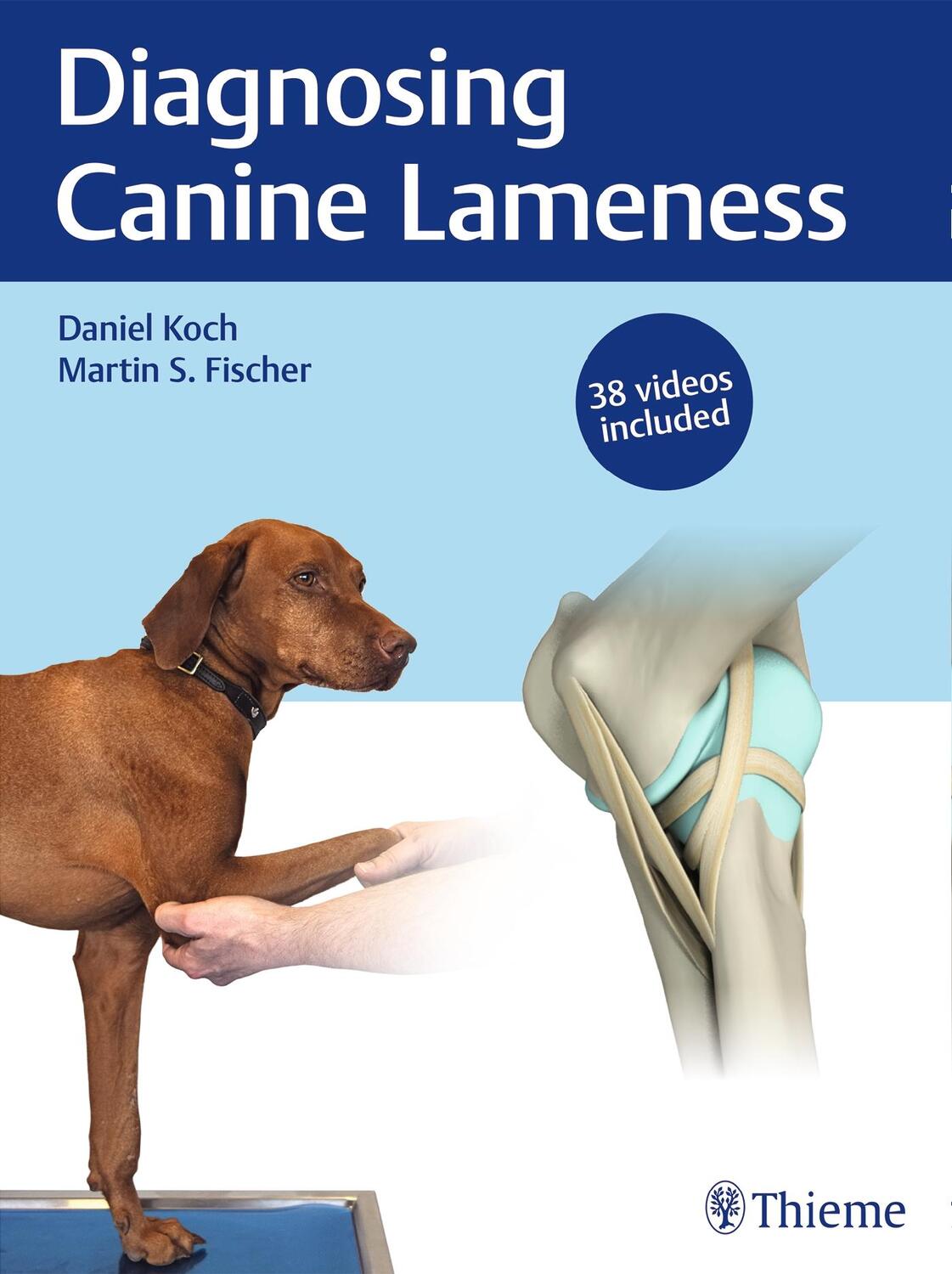 Cover: 9783132432833 | Diagnosing Canine Lameness | Daniel Koch (u. a.) | Buch | Englisch