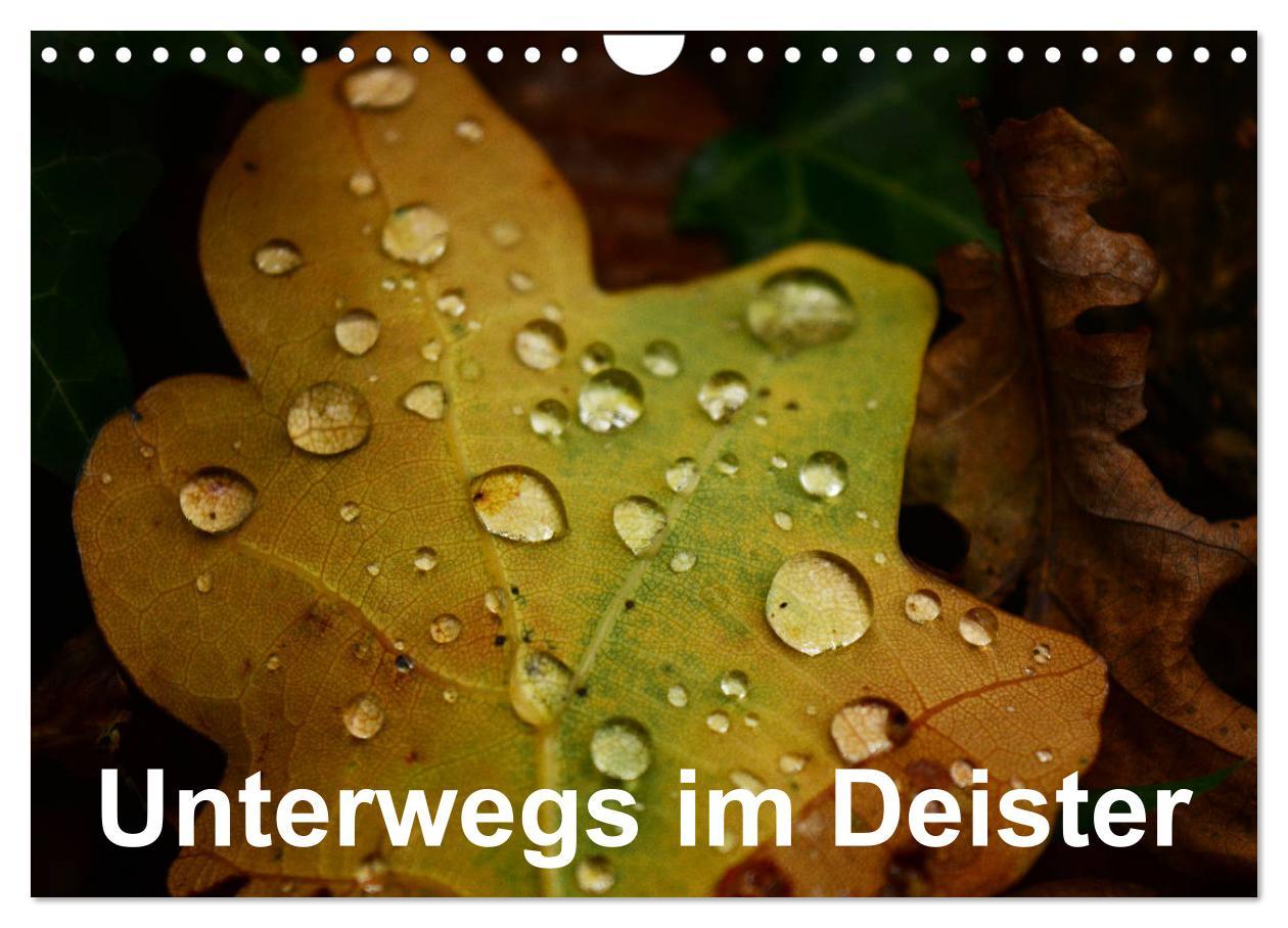 Cover: 9783435240852 | Unterwegs im Deister (Wandkalender 2025 DIN A4 quer), CALVENDO...