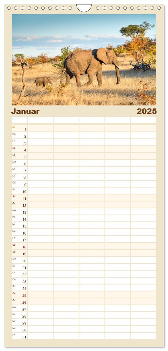 Bild: 9783457108970 | Familienplaner 2025 - Babyelefanten mit 5 Spalten (Wandkalender, 21...