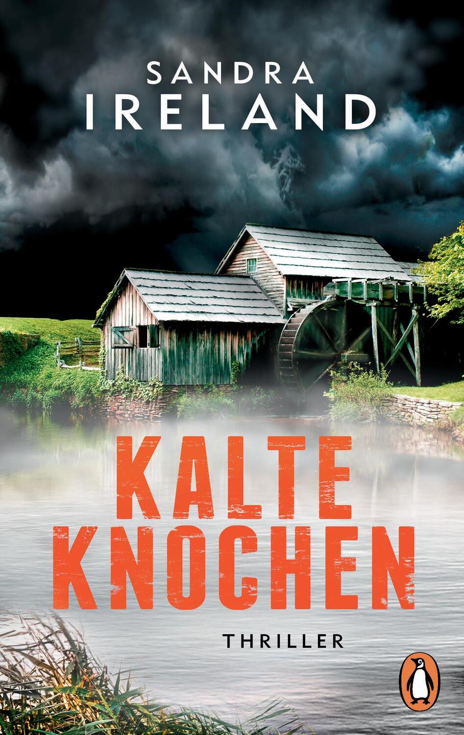 Cover: 9783328104544 | Kalte Knochen | Thriller | Sandra Ireland | Taschenbuch | Deutsch