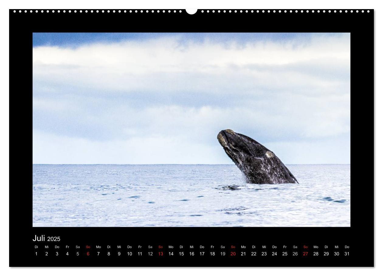 Bild: 9783435702428 | Südafrika - Garden Route (hochwertiger Premium Wandkalender 2025...