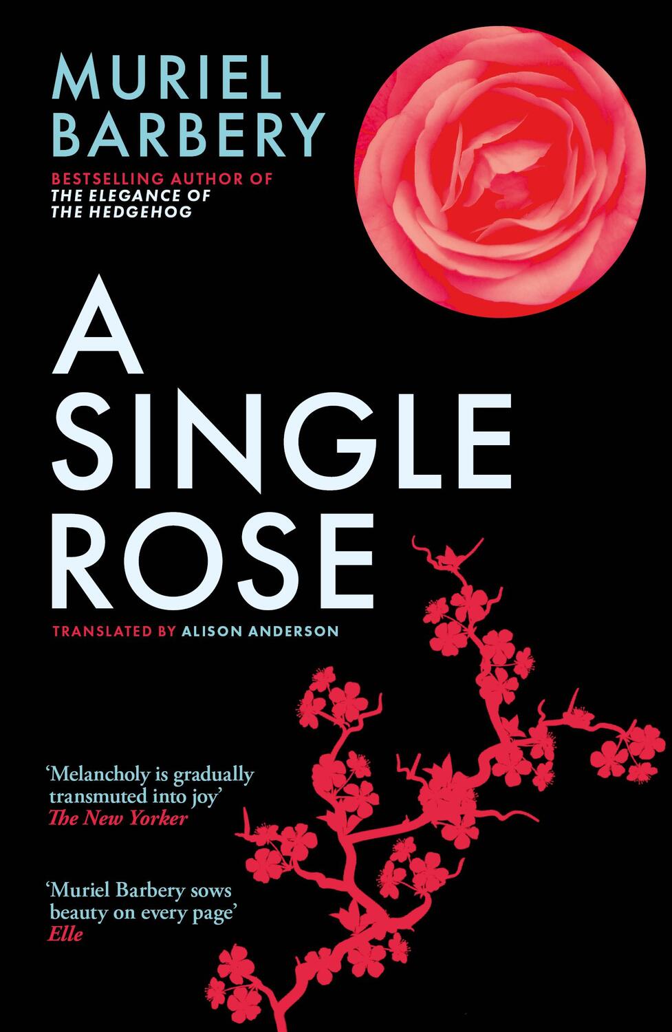 Cover: 9781913547417 | A Single Rose | Muriel Barbery | Taschenbuch | Kartoniert / Broschiert