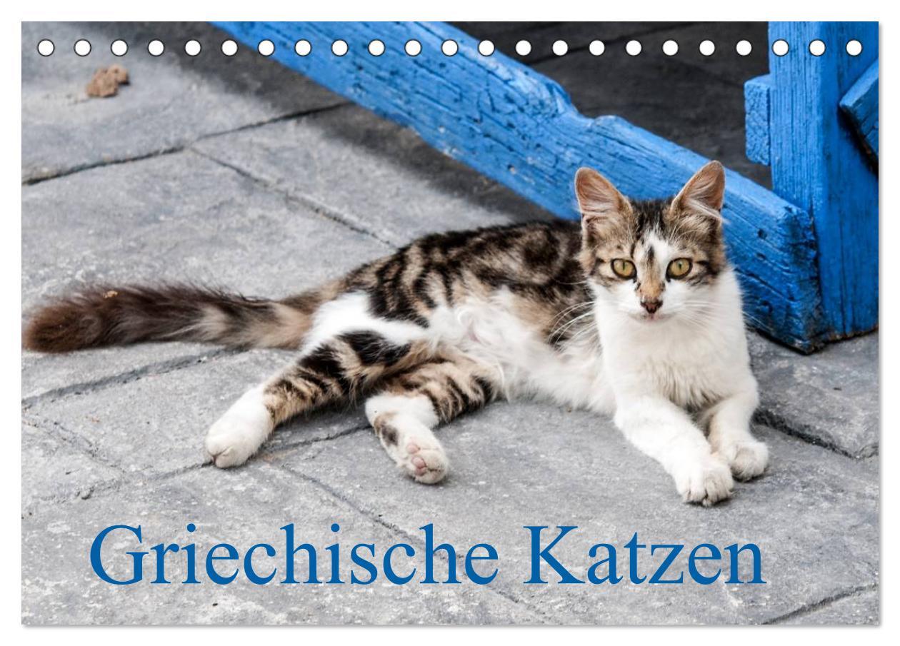 Cover: 9783435757626 | Griechische Katzen (Tischkalender 2025 DIN A5 quer), CALVENDO...