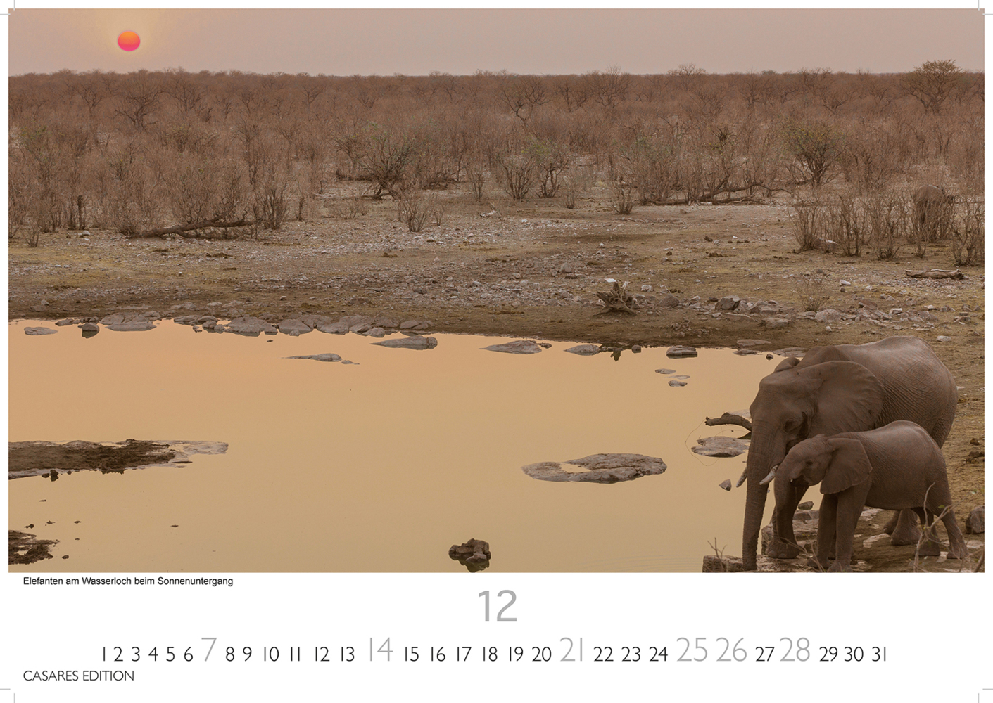 Bild: 9781835240632 | Namibia 2025 S 24x35 cm | Kalender | 14 S. | Deutsch | 2025