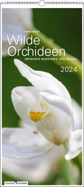 Cover: 9783861923282 | Wilde Orchideen 2024 | zwischen Bodensee und Donau | Thomas Bichler