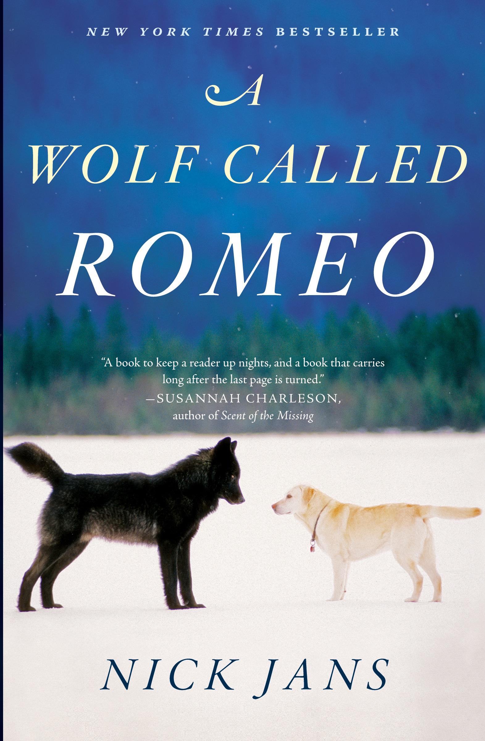 Cover: 9780544228092 | A Wolf Called Romeo | Nick Jans | Taschenbuch | Englisch | 2015