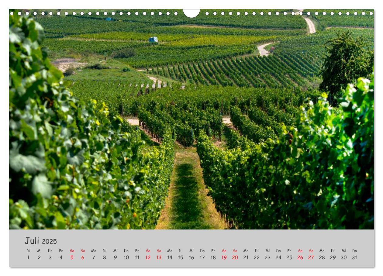 Bild: 9783435461141 | Region Elsass und Vogesen (Wandkalender 2025 DIN A3 quer), CALVENDO...