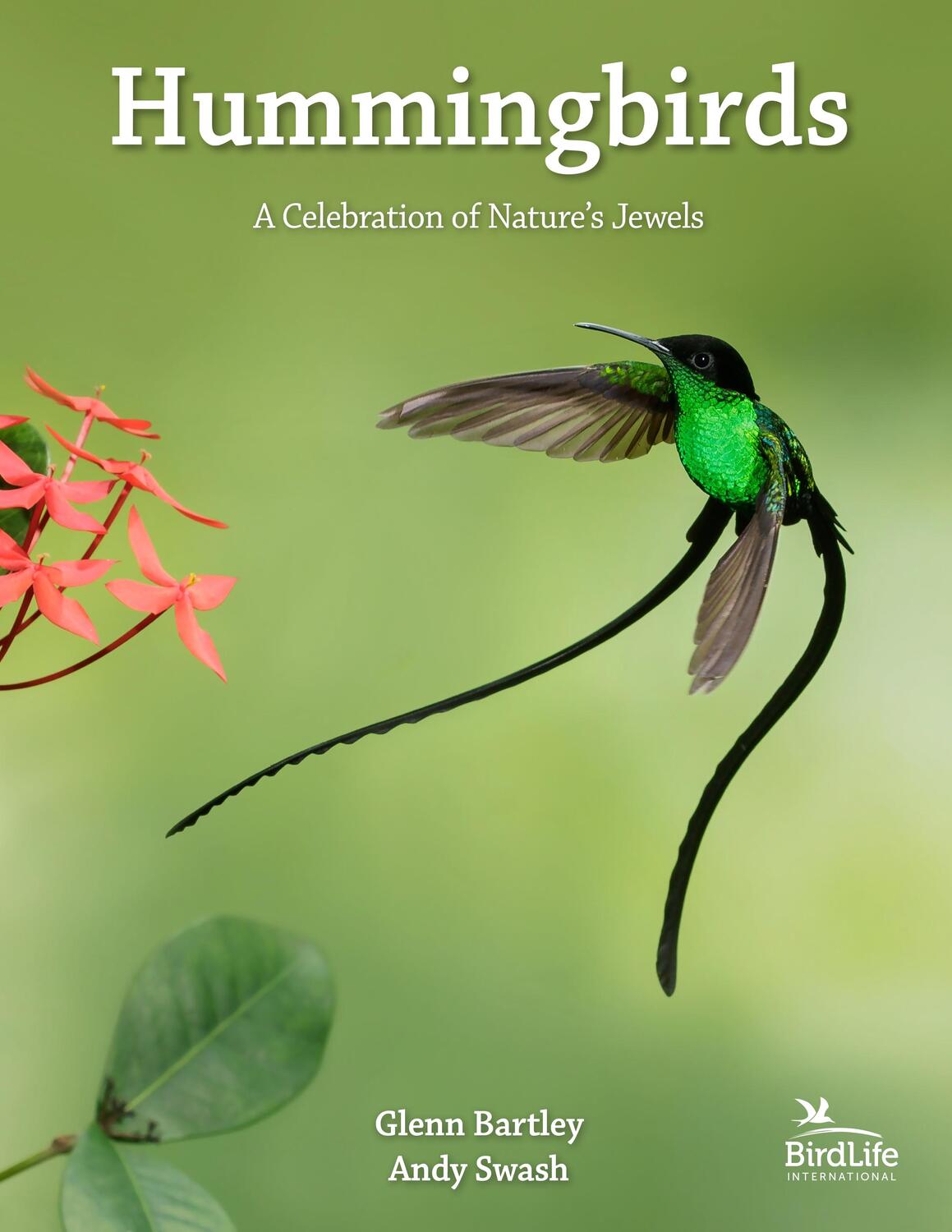 Cover: 9780691182124 | Hummingbirds | A Celebration of Nature's Jewels | Andy Swash (u. a.)
