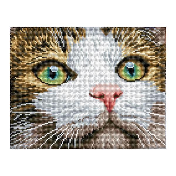 Cover: 4895225915057 | Diamond Dotz Katze mit grünen Augen | Stück | Deutsch | Diamond Dotz