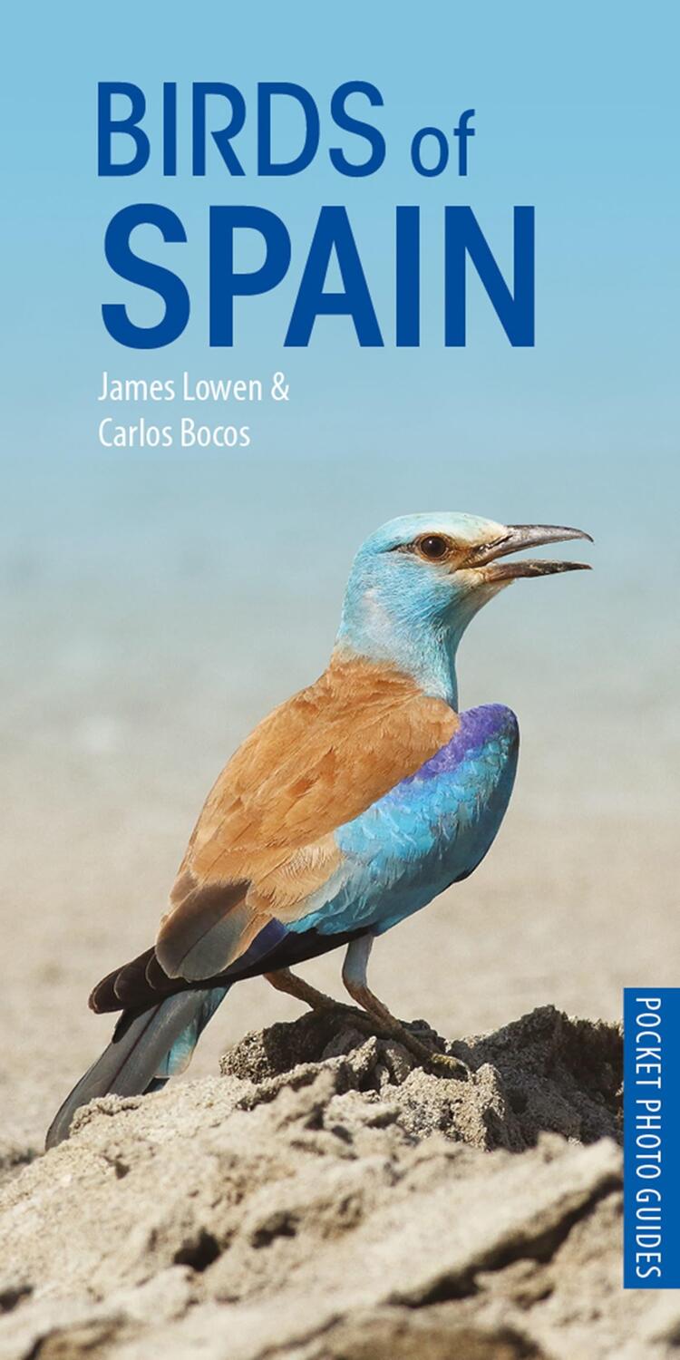 Cover: 9781472949271 | Birds of Spain | James Lowen (u. a.) | Taschenbuch | Englisch | 2019