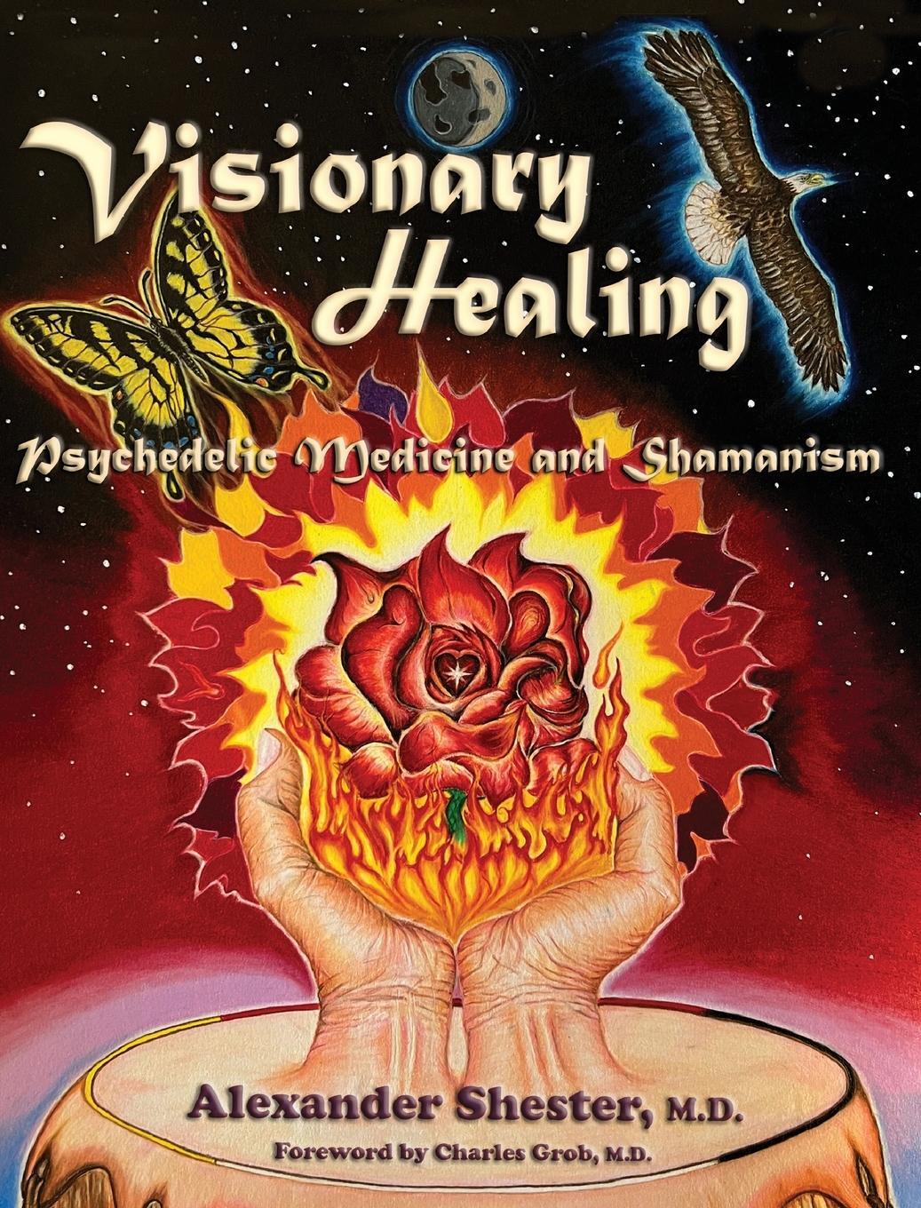 Cover: 9781587906367 | VISIONARY HEALING Psychedelic Medicine and Shamanism | Shester | Buch
