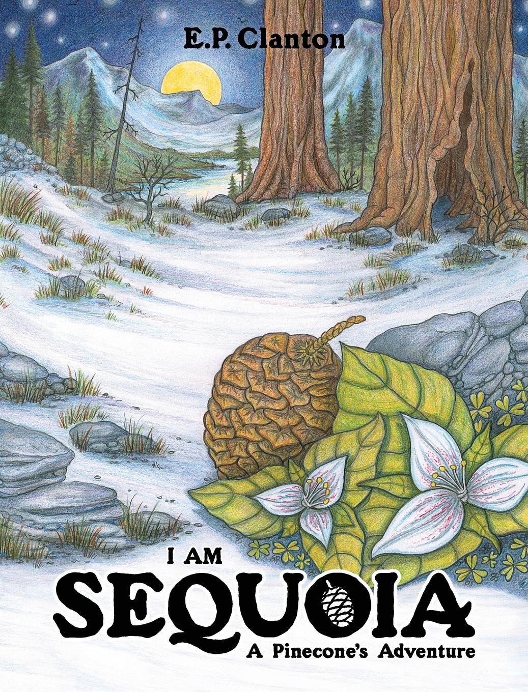 Cover: 9780578810928 | I Am Sequoia - A Pinecone's Adventure | Eric P Clanton | Buch | 2021