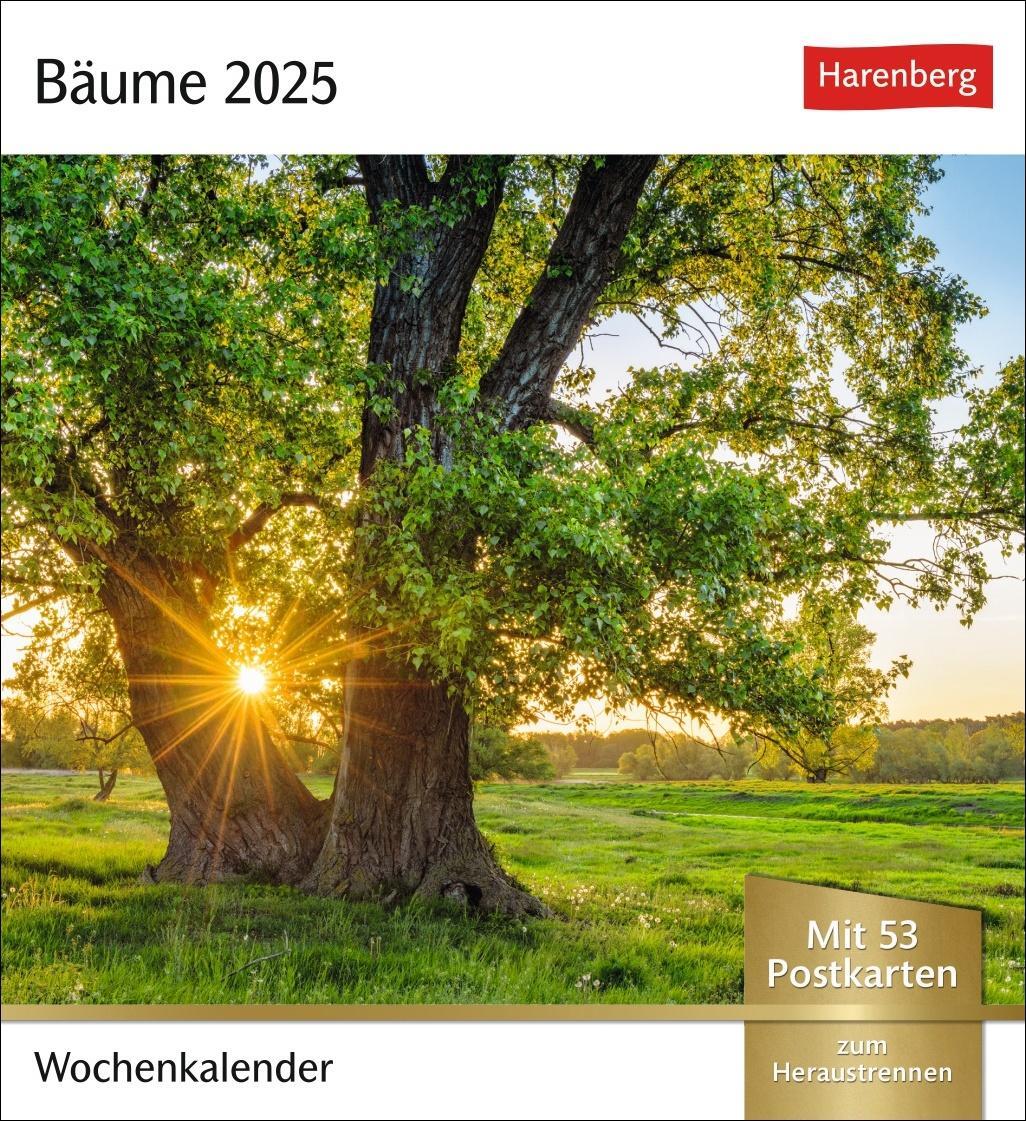 Cover: 9783840033483 | Bäume Postkartenkalender 2025 - Wochenkalender mit 53 Postkarten