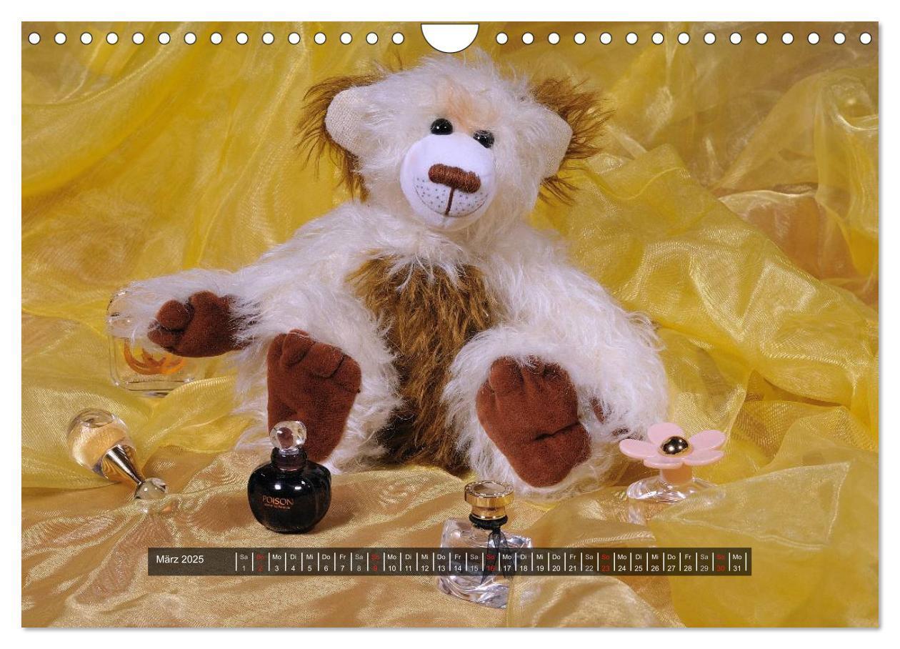 Bild: 9783435627592 | Die Teddys sind los (Wandkalender 2025 DIN A4 quer), CALVENDO...