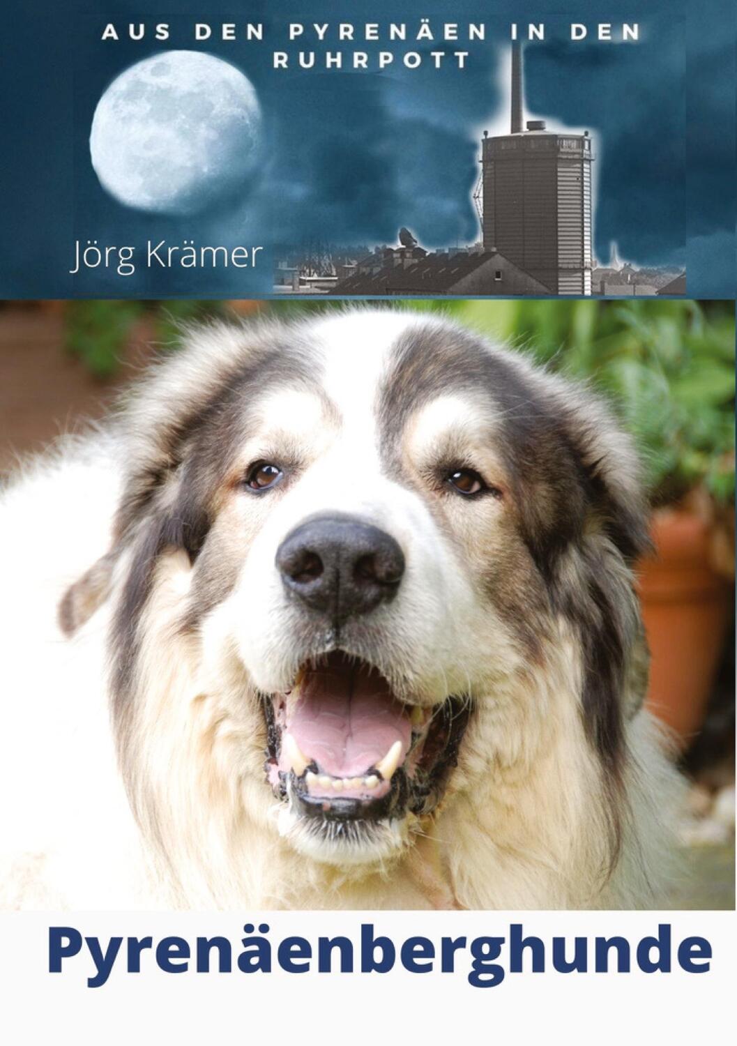 Cover: 9783347393530 | Pyrenäenberghund - Aus den Pyrenäen in den Ruhrpott | Jörg Krämer