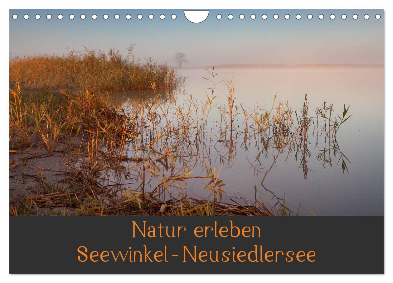 Cover: 9783435492695 | Natur erleben Seewinkel-Neusiedlersee (Wandkalender 2025 DIN A4...