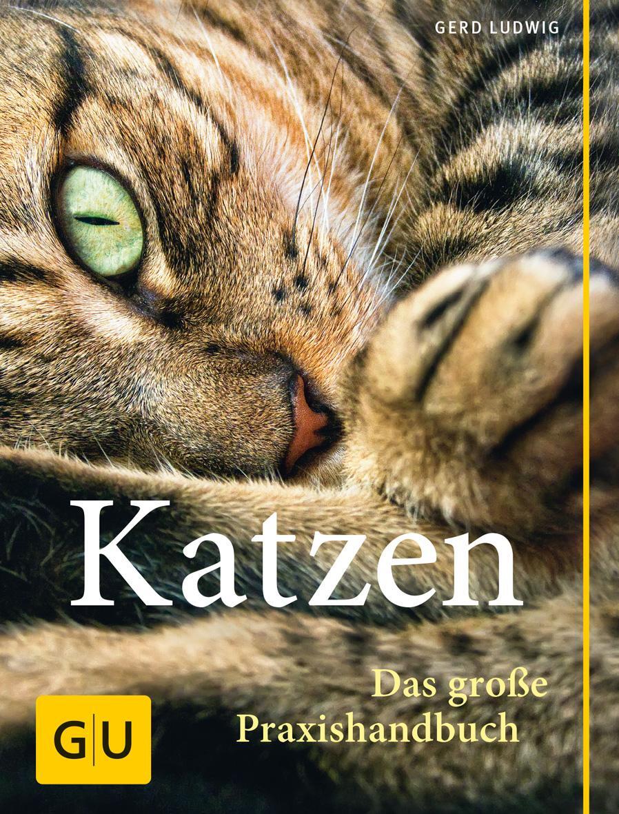 Cover: 9783833828751 | Katzen. Das große Praxishandbuch | Gerd Ludwig | Buch | 288 S. | 2016