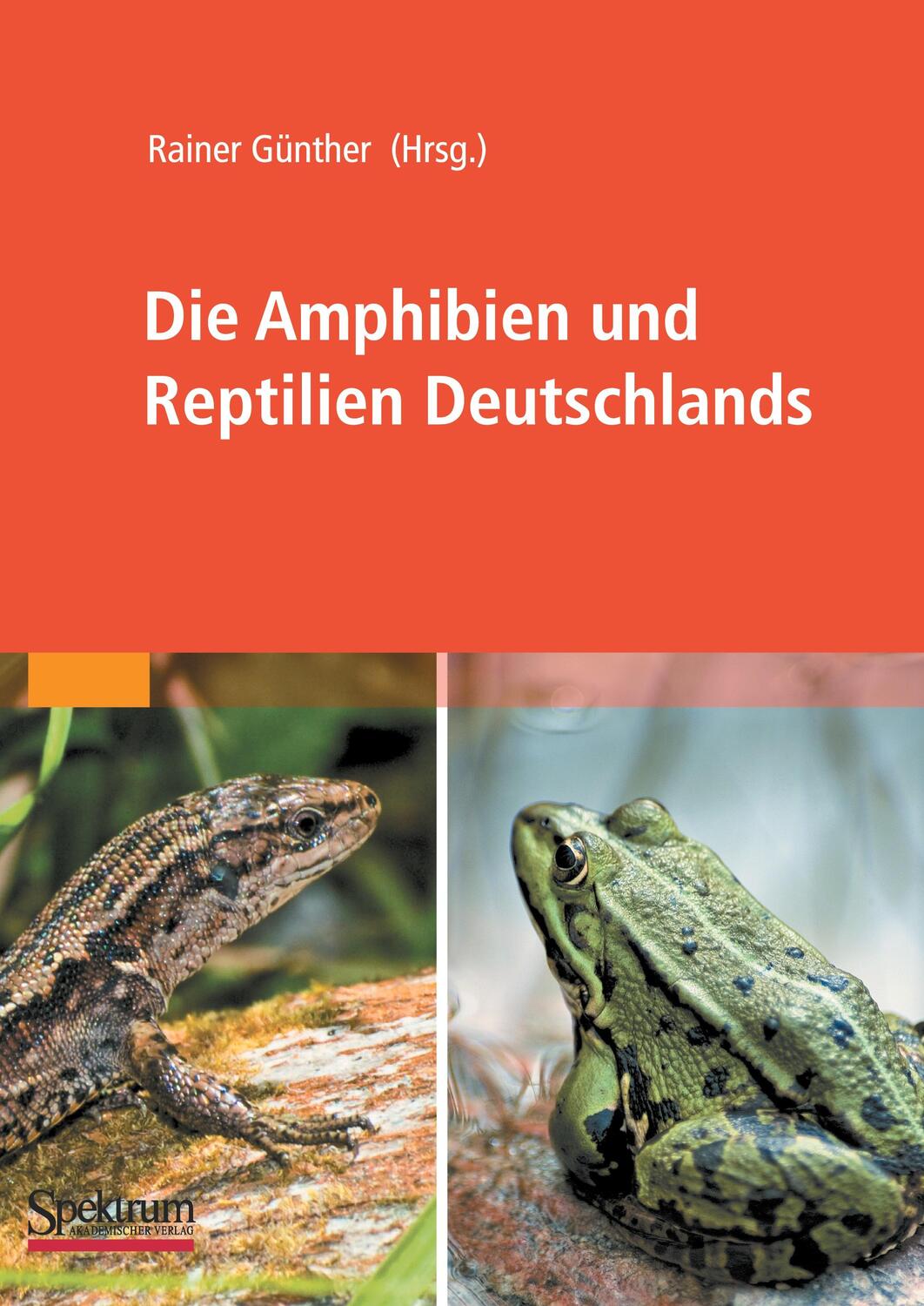 Cover: 9783827423221 | Die Amphibien und Reptilien Deutschlands | Rainer Günther | Buch