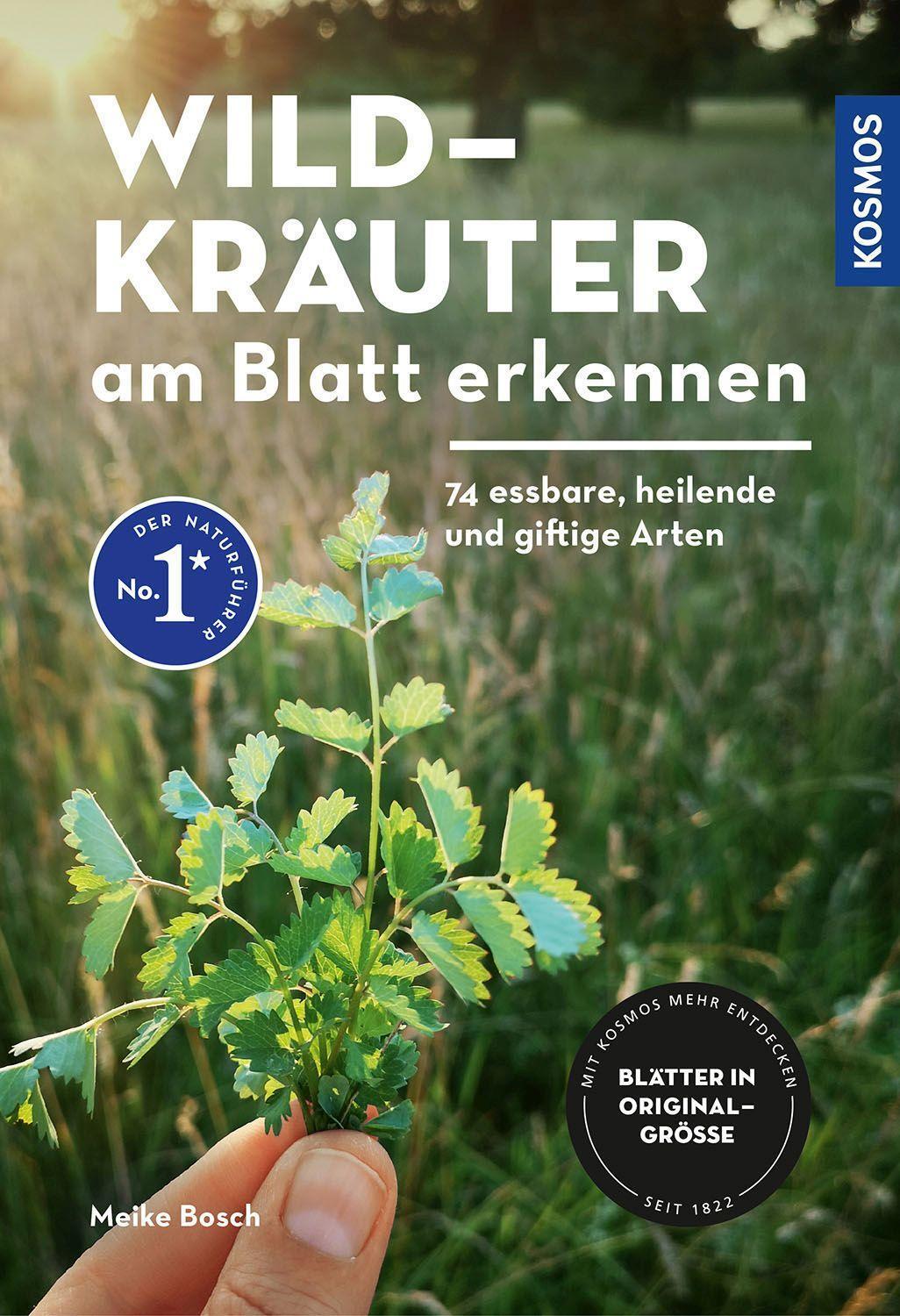 Cover: 9783440173855 | Wildkräuter am Blatt erkennen | Meike Bosch | Taschenbuch | 128 S.