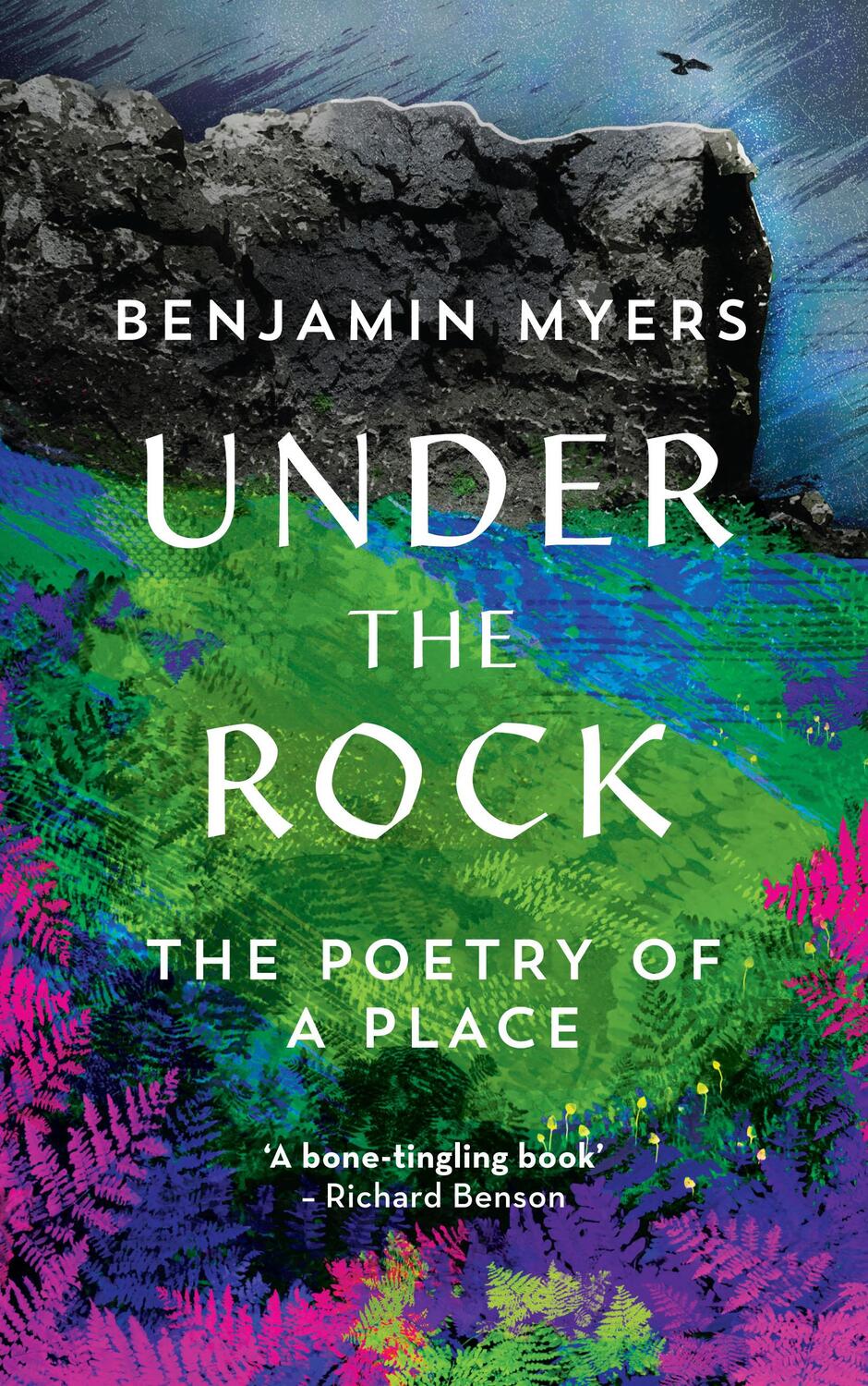 Cover: 9781783963621 | Under the Rock | The Poetry of a Place | Benjamin Myers | Buch | 2018