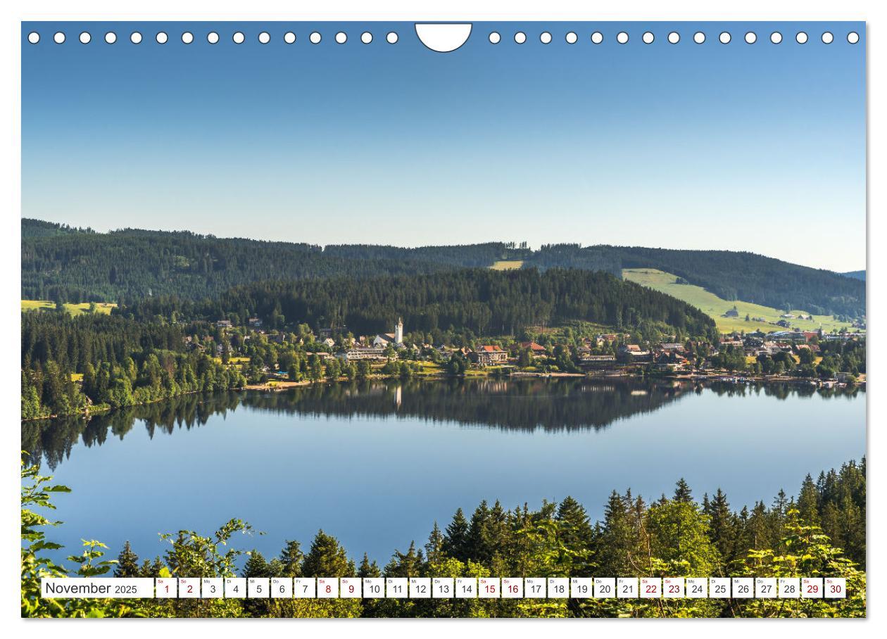 Bild: 9783435687831 | Schwarzwald (Wandkalender 2025 DIN A4 quer), CALVENDO Monatskalender