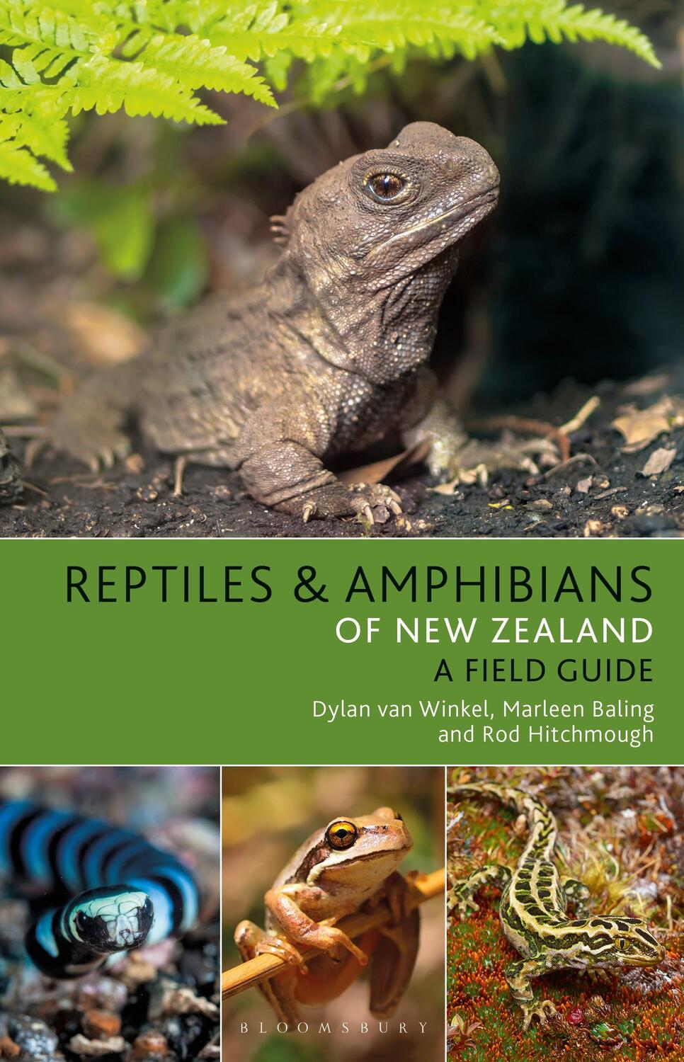 Cover: 9781472974990 | Reptiles and Amphibians of New Zealand | Dylan van Winkel (u. a.)