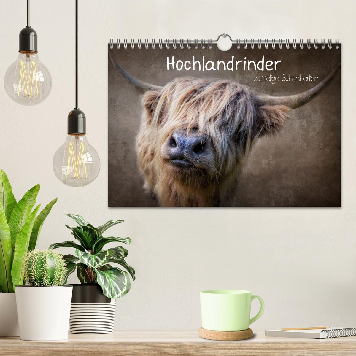 Bild: 9783435037247 | Hochlandrinder - Zottelige Schönheiten (Wandkalender 2025 DIN A4...