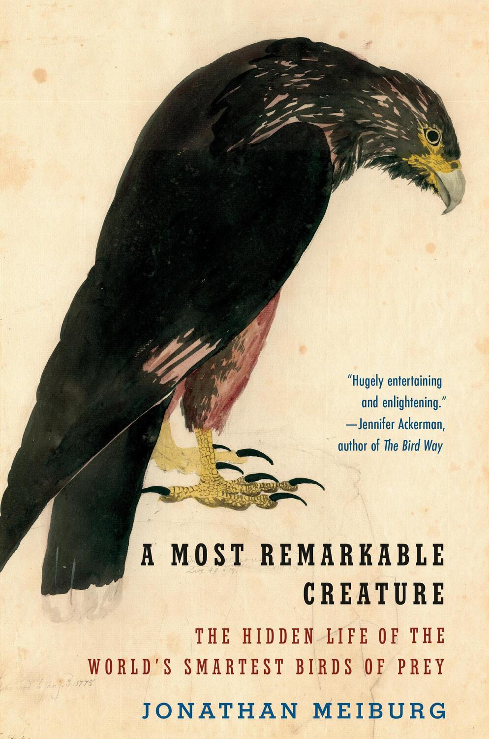 Cover: 9781101911549 | A Most Remarkable Creature | Jonathan Meiburg | Taschenbuch | Englisch